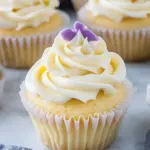 Easy Vanilla Cupcakes Recipe
