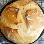 Speedy Same Day Sourdough Bread