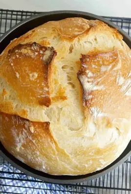 Speedy Same Day Sourdough Bread