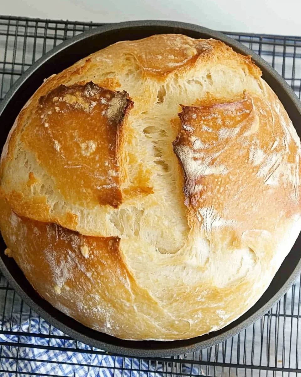 Speedy Same Day Sourdough Bread