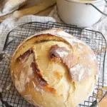 Speedy Same Day Sourdough Bread Recipe
